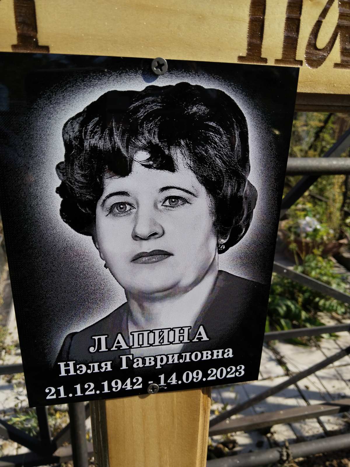Лапина Нелли Гавриловна