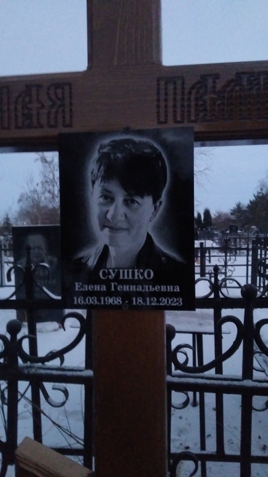 Сушко Елена Геннадьевна