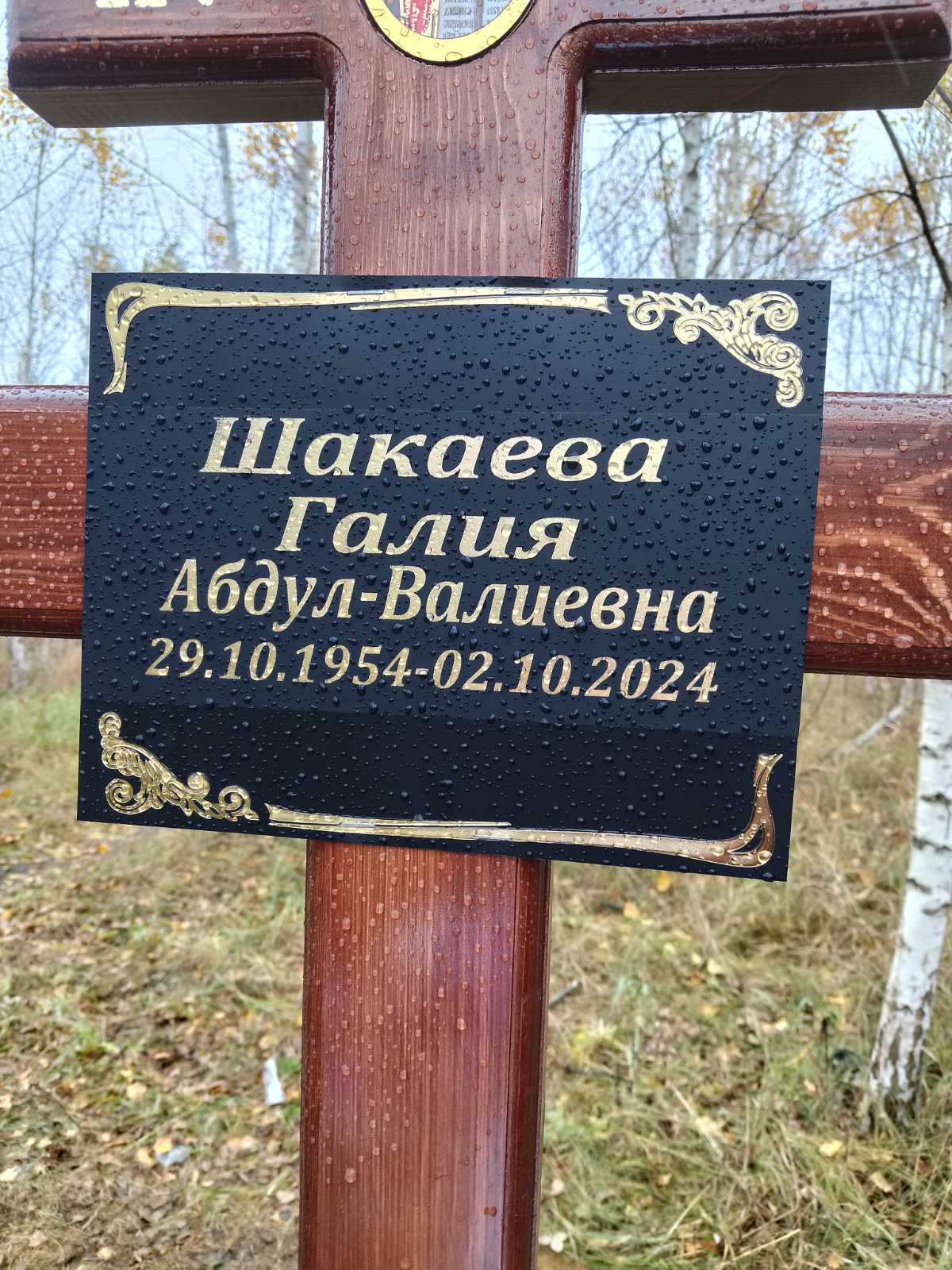 Шакаева Галия АбдулВалиевна