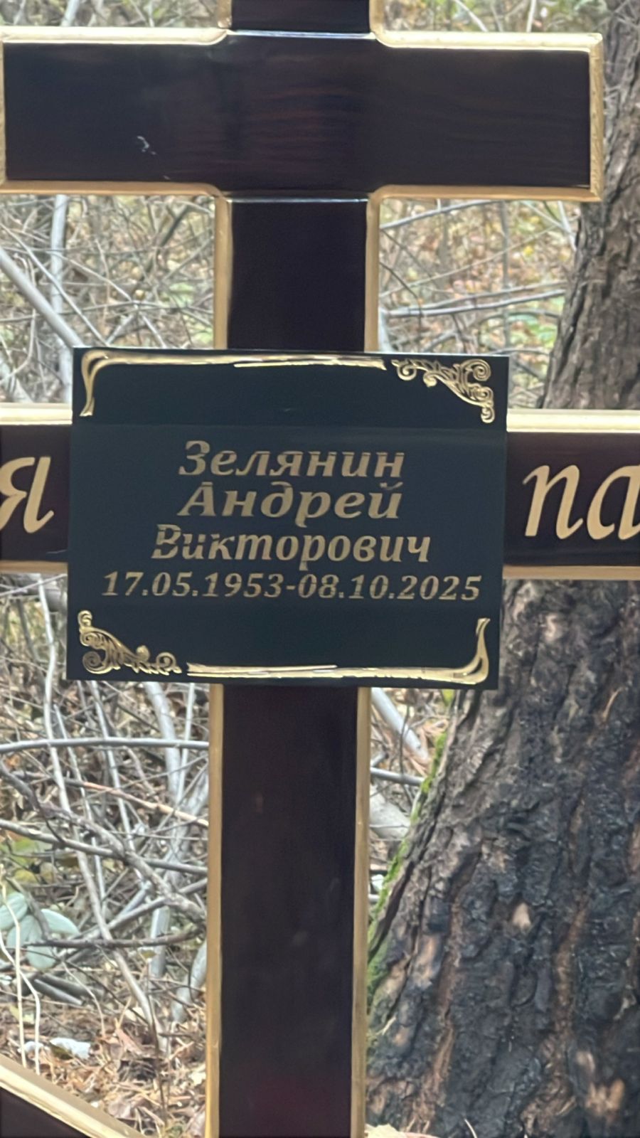 Зелянин Андрей Викторович