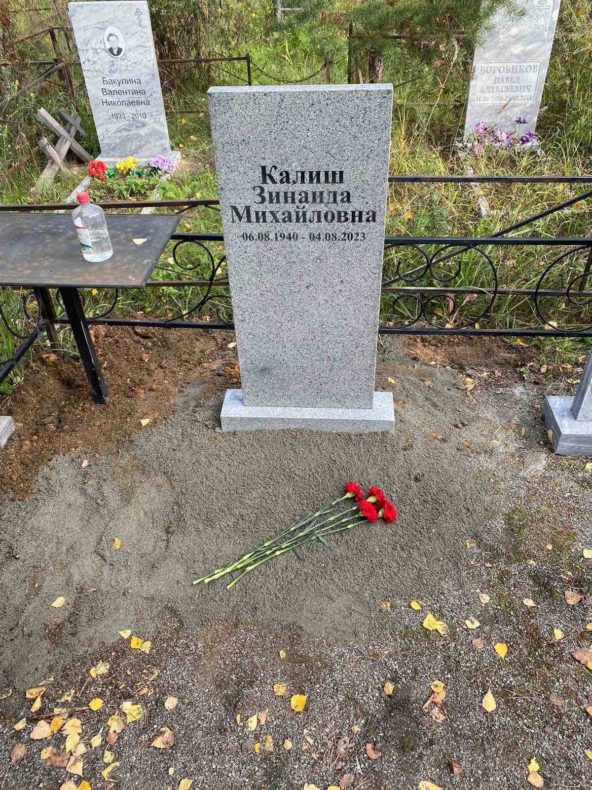 Калиш Зинаида Михайловна