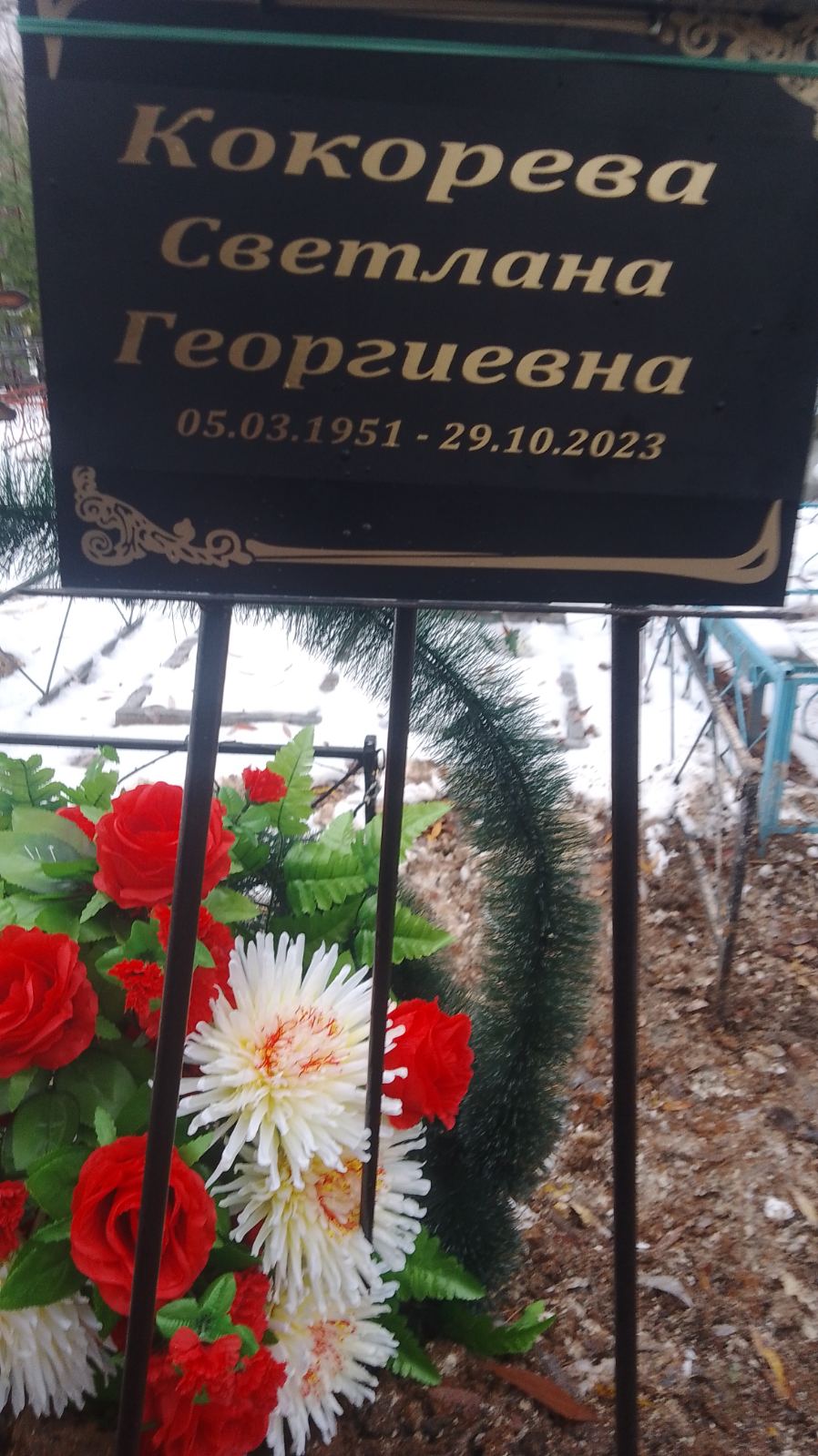 Кокорева Светлана Георгиевна