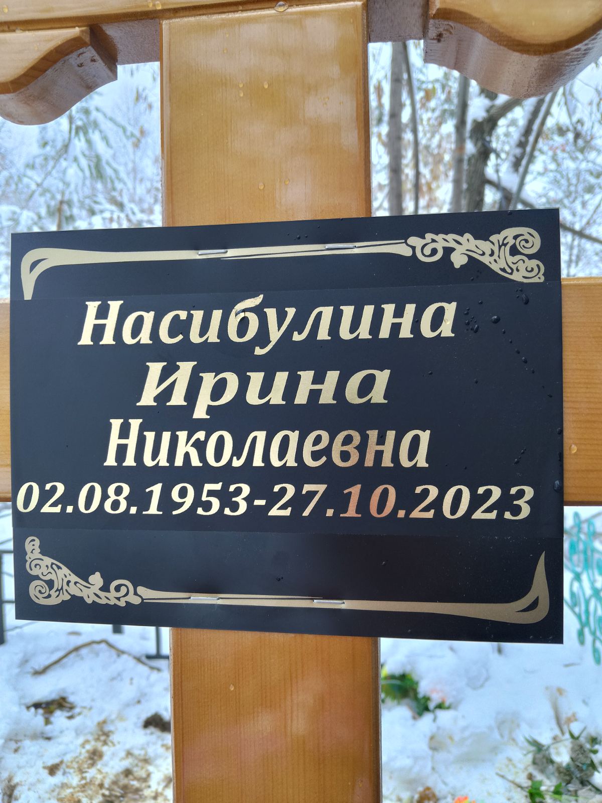 Насибулина Ирина Николаевна