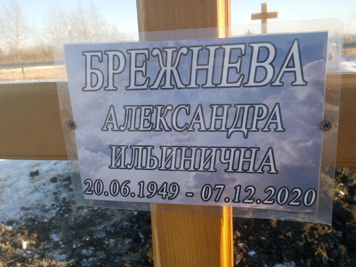 Брежнева Александра Ильинична