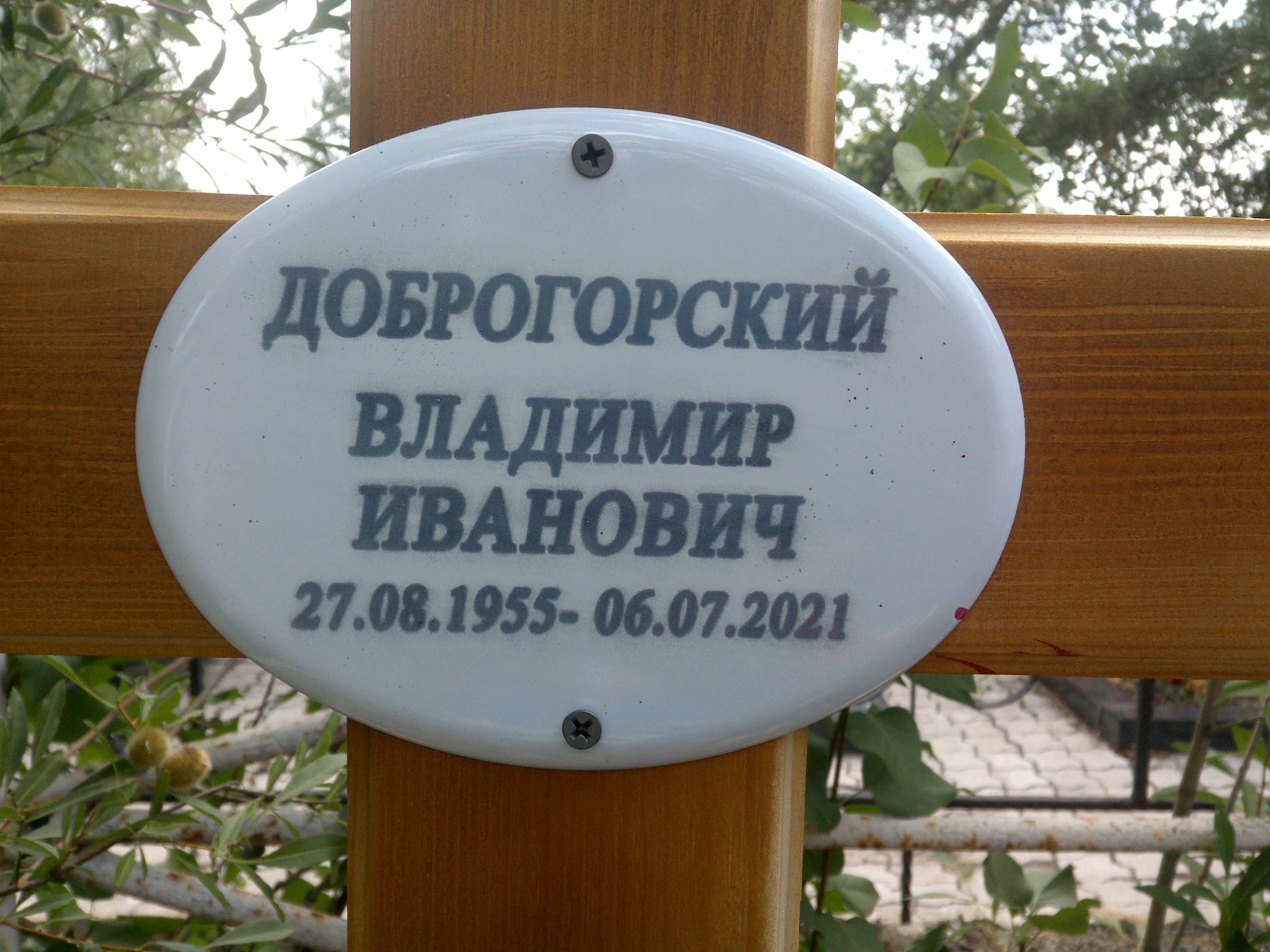 Доброгорский Владимир Иванович