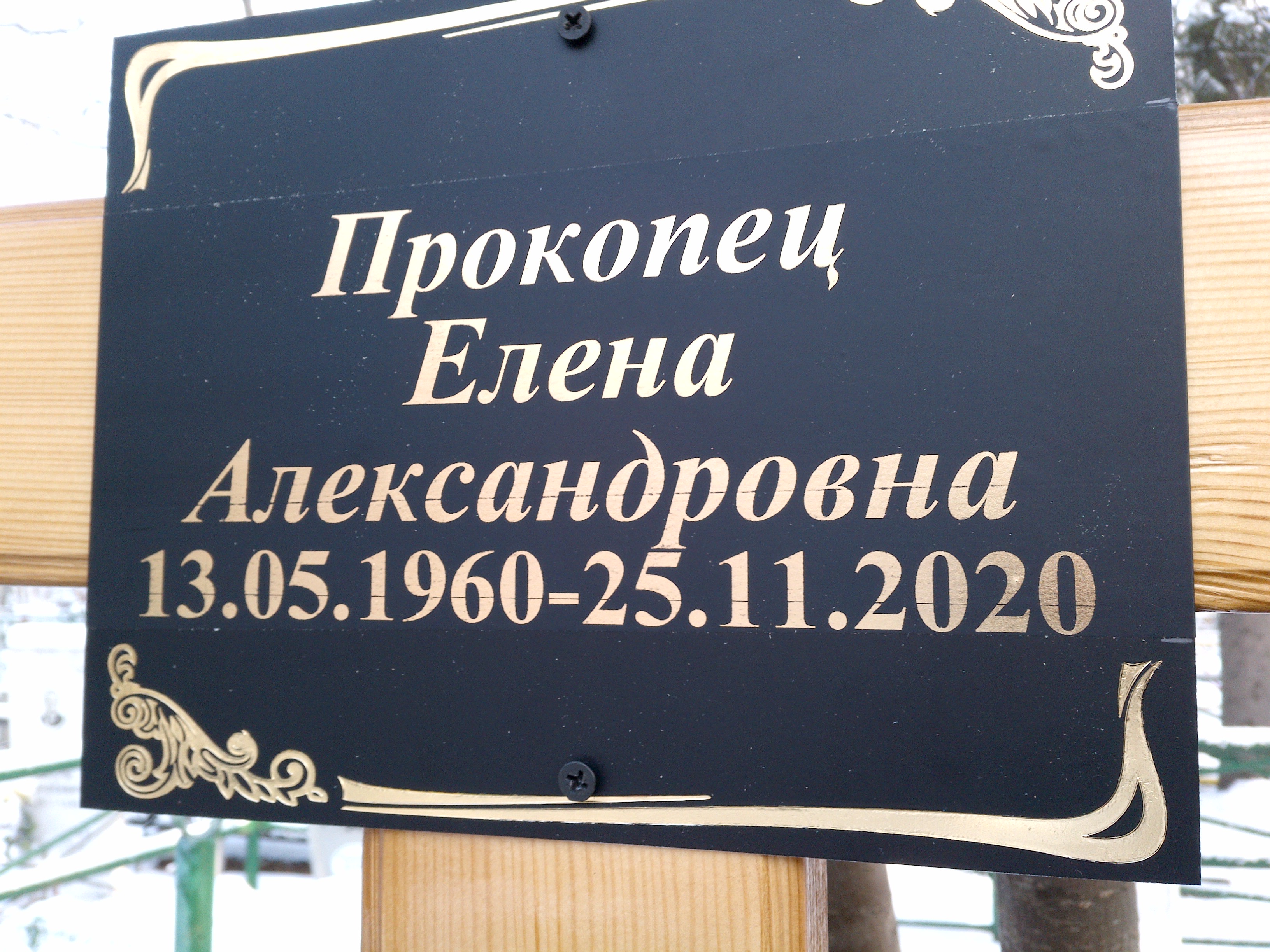 Прокопец Елена Александровна
