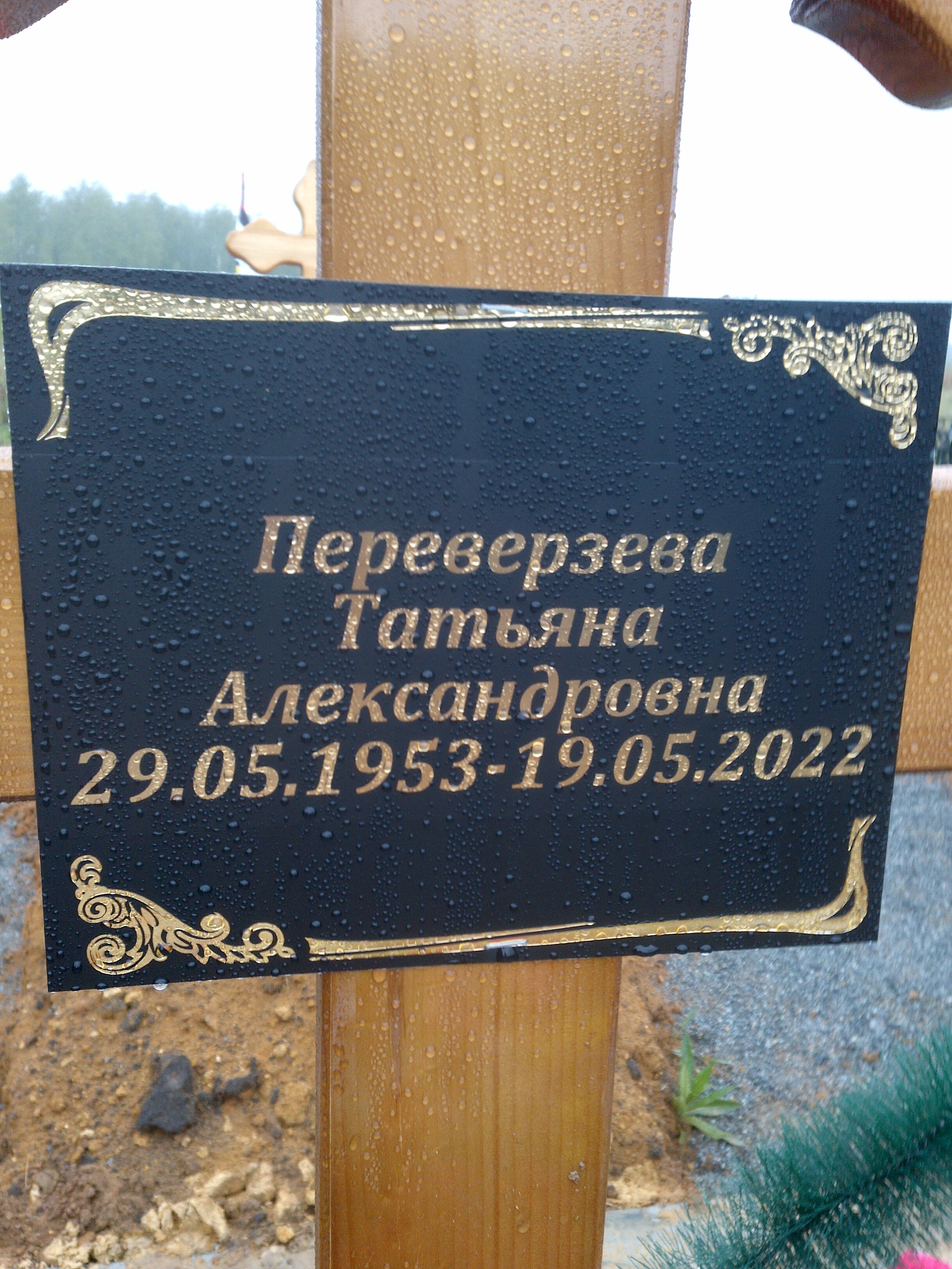 Переверзева Татьяна Александровна