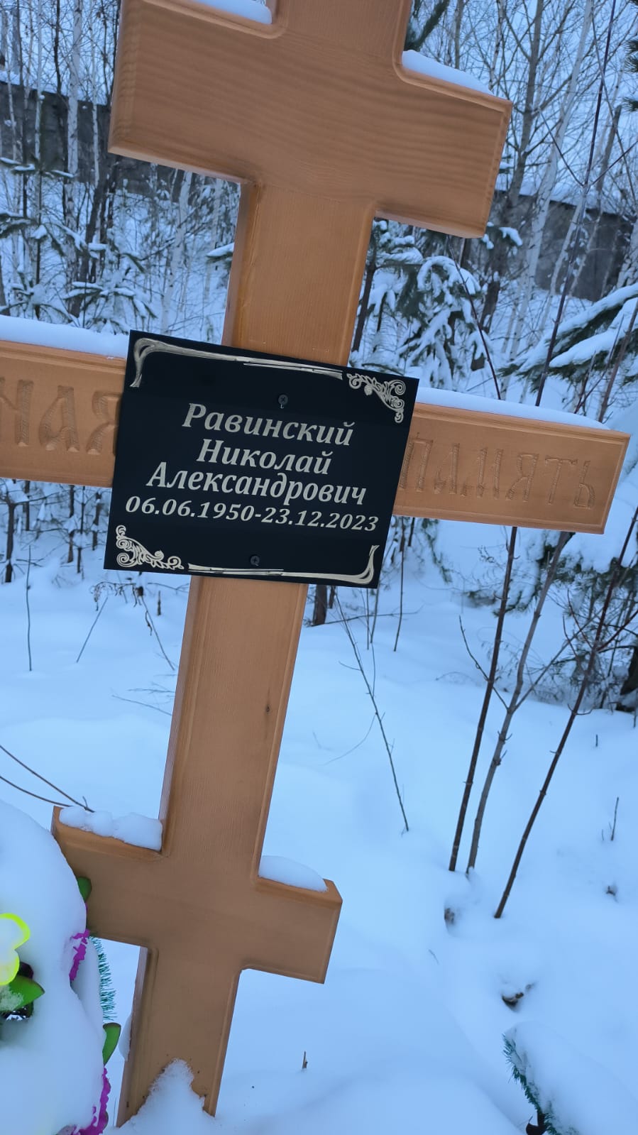 Равинский Николай Александрович