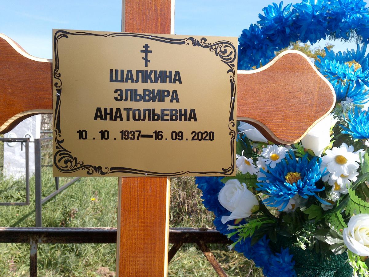 Шалкина Эльвира Анальевна
