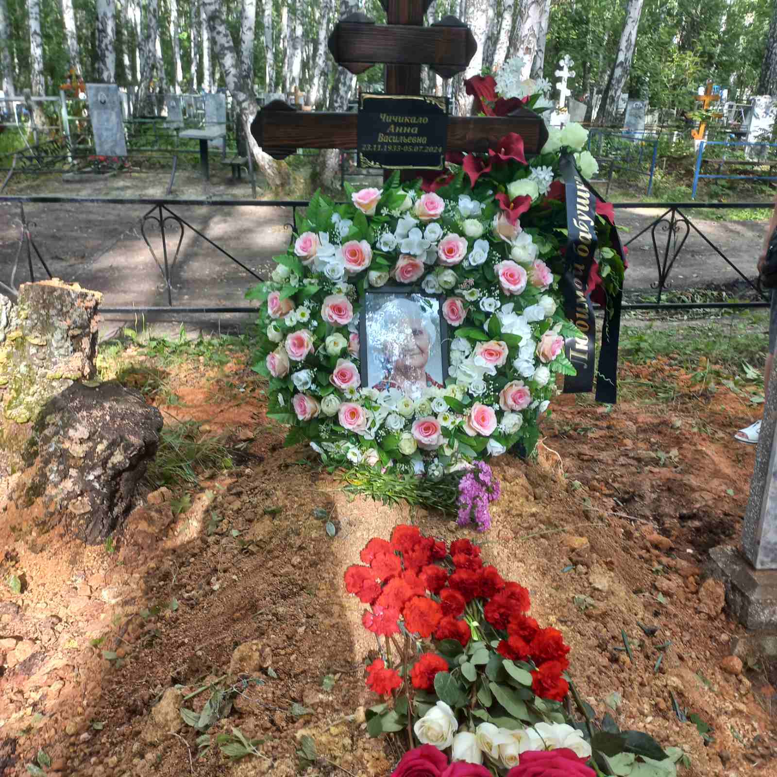 Чичикало Анна Васильевна
