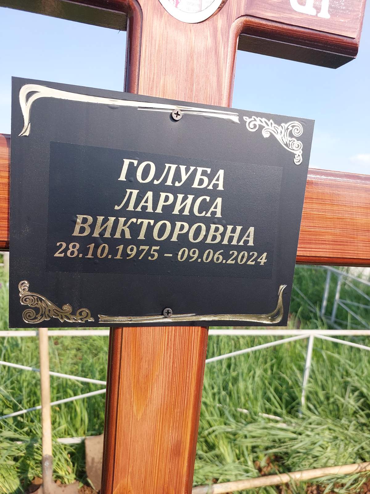 Голуба Лариса Викторовна