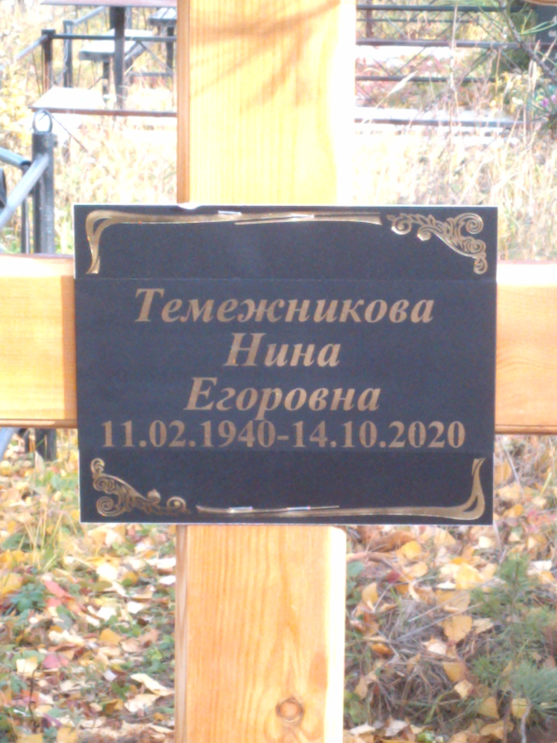 Темежникова Нина Григорьевна