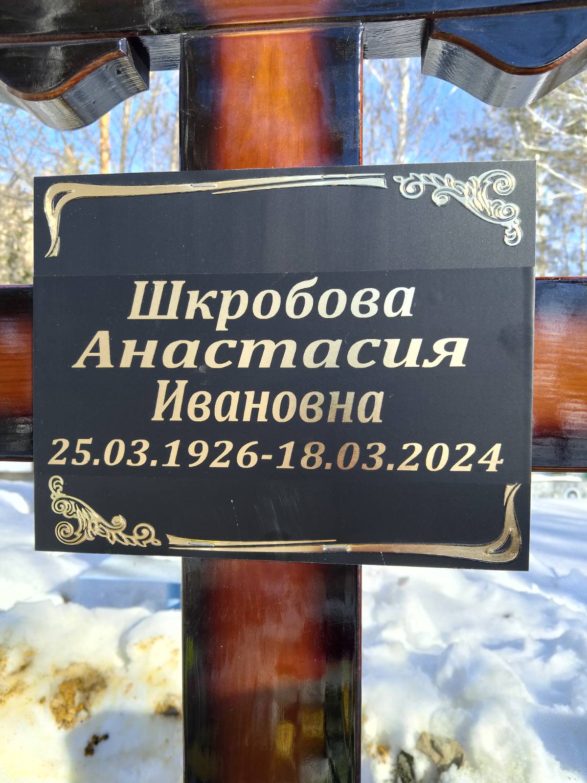 Шкробова Анастасия Ивановна