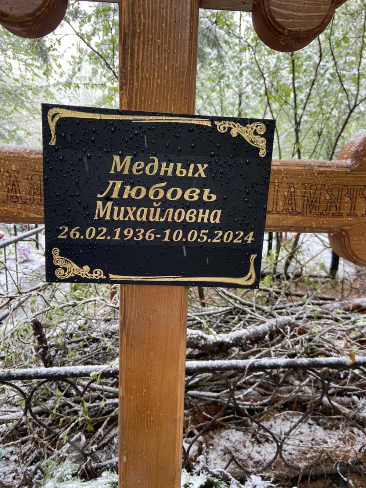 Медных Любовь Михайловна