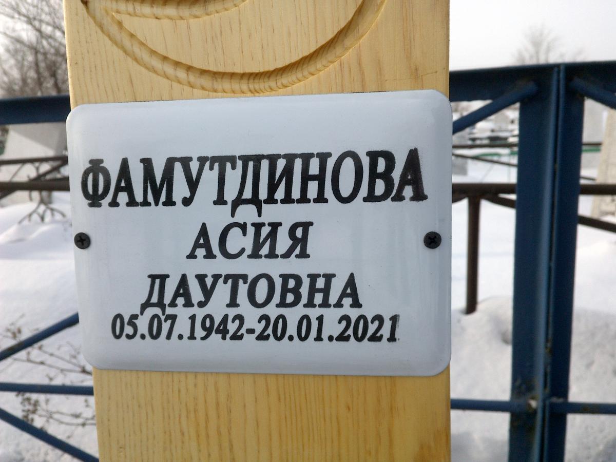 Фамутдинова Асия Даутовна