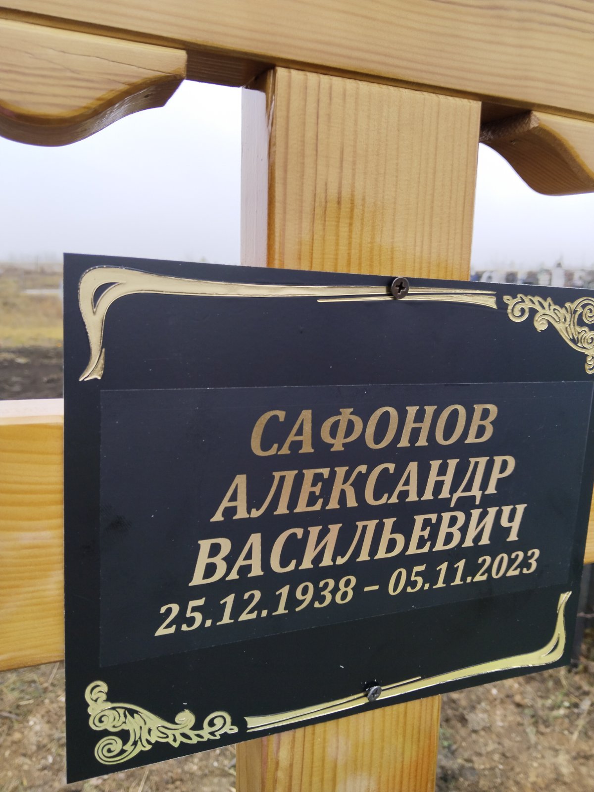 Сафонов Александр Васильевич