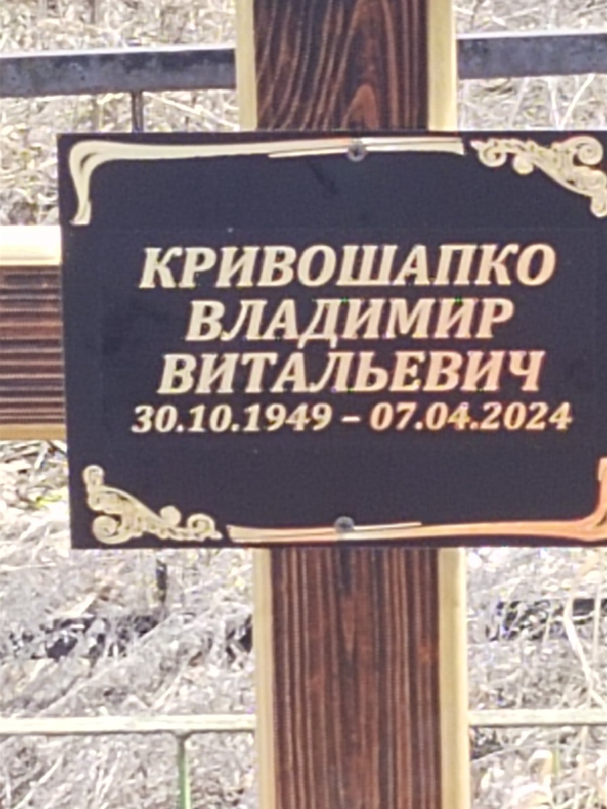 Кривошапко Владимир Витальевич