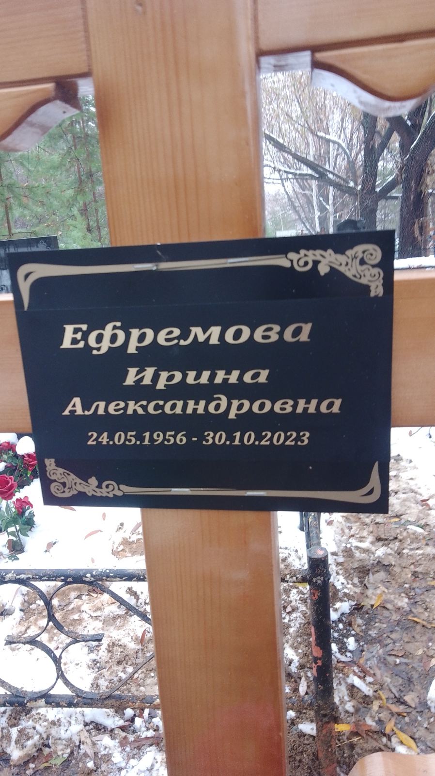 Ефремова Ирина Александровна