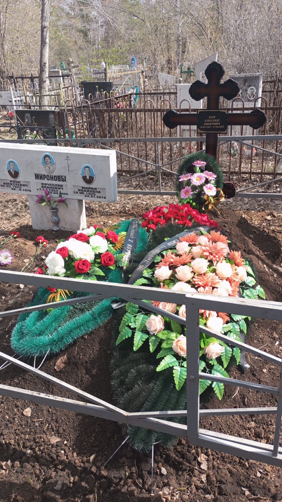 Баев Александр Никитович