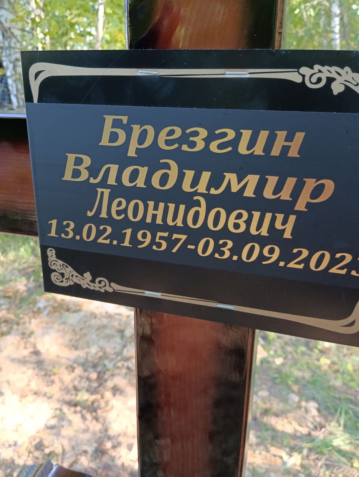 Брезгин Владимир Леонидович