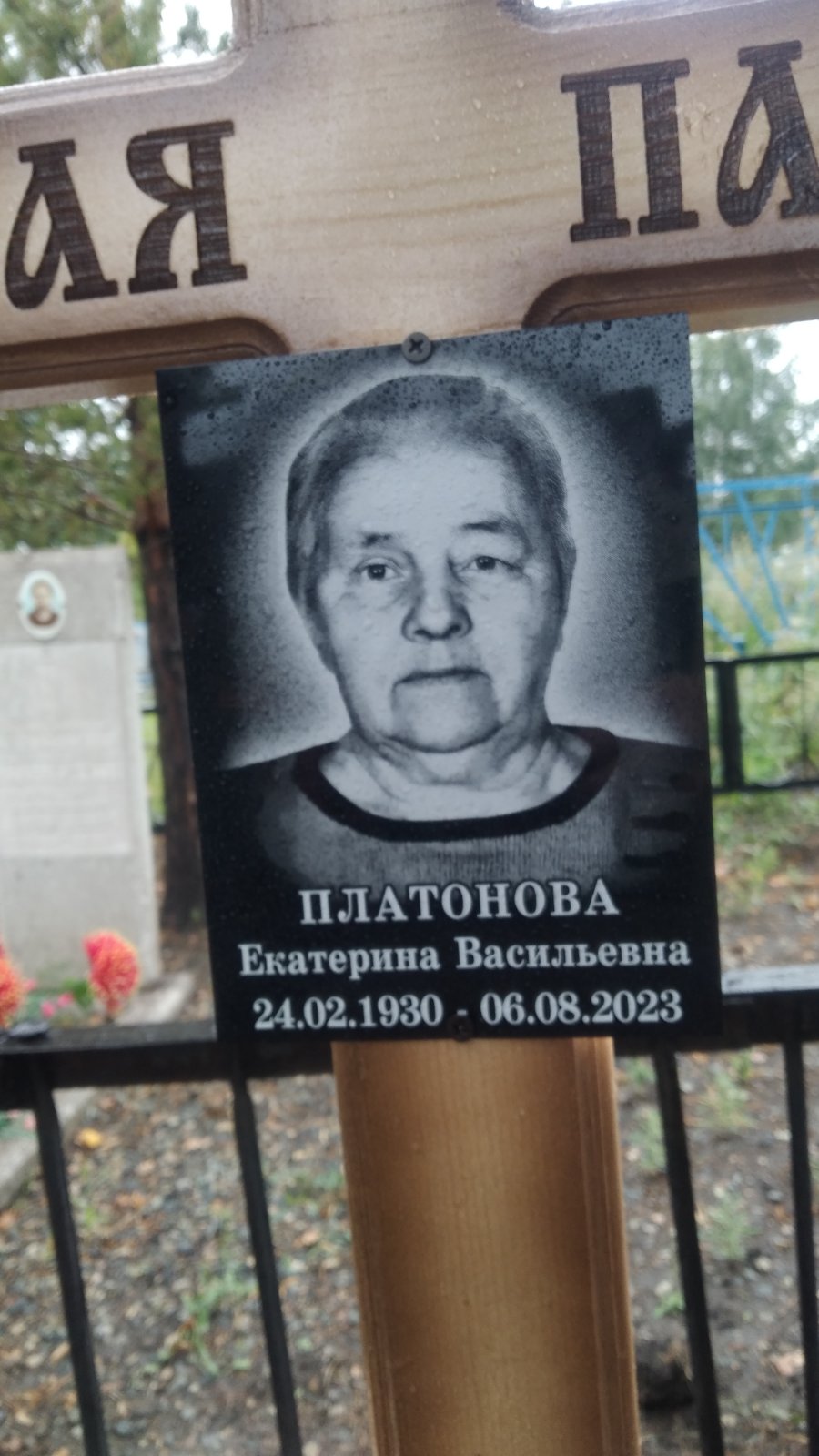 Платонова Екатерина Васильевна