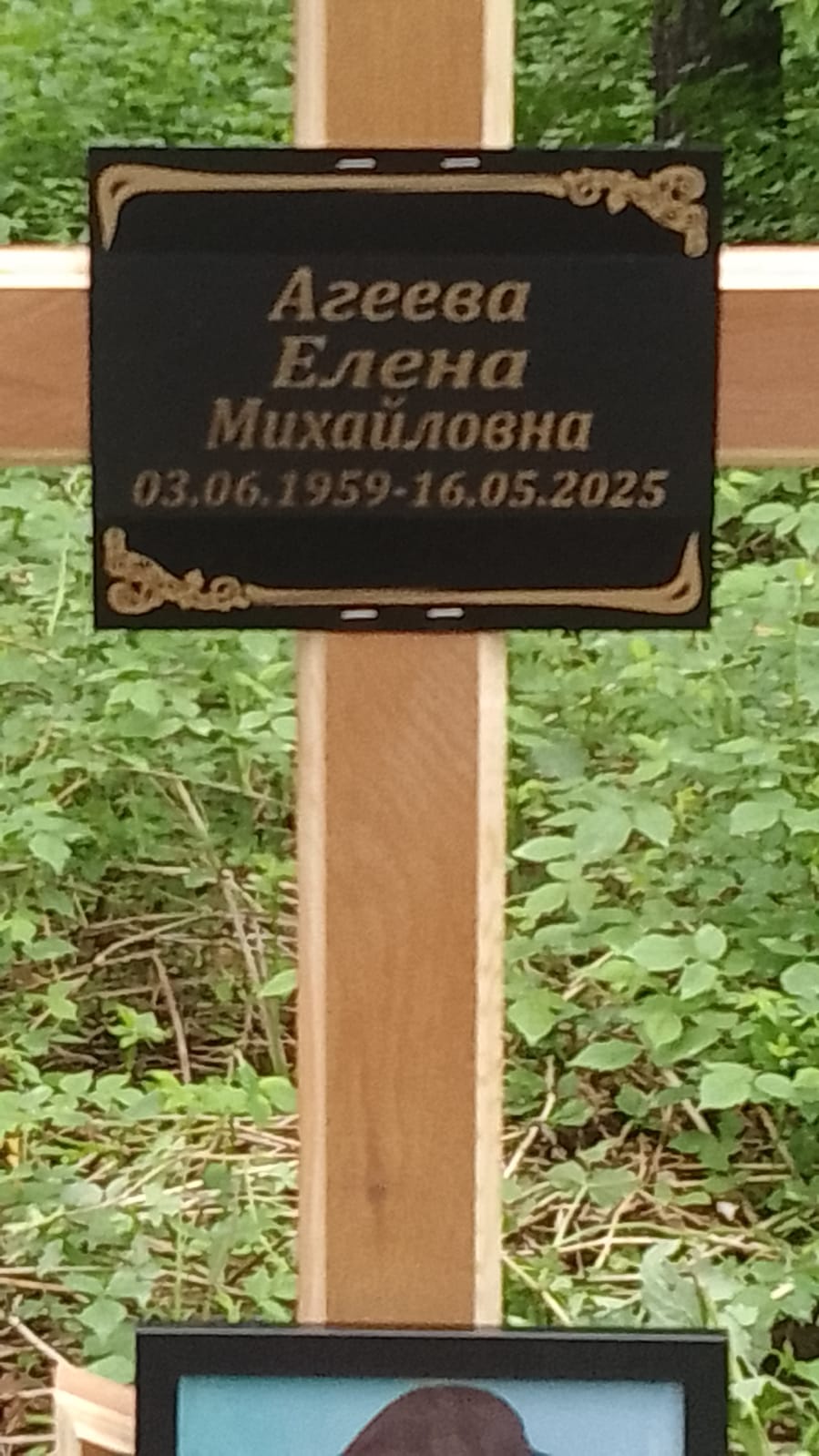 Агеева Елена Михайловна
