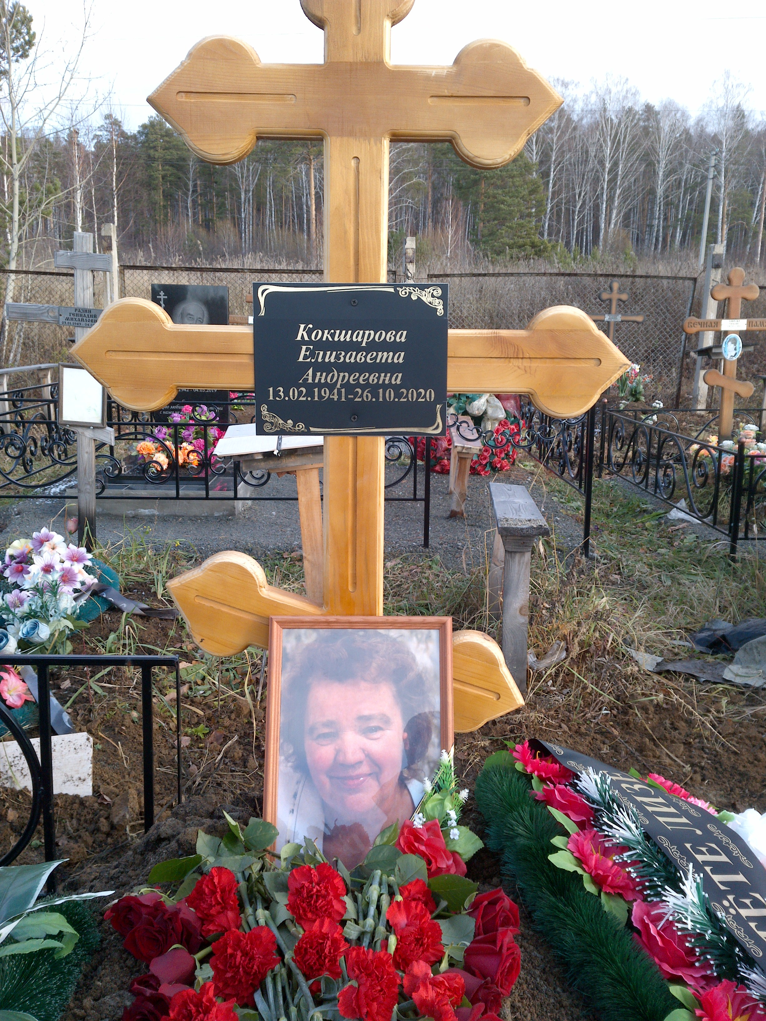 Кокшарова Елизавета Андреевна