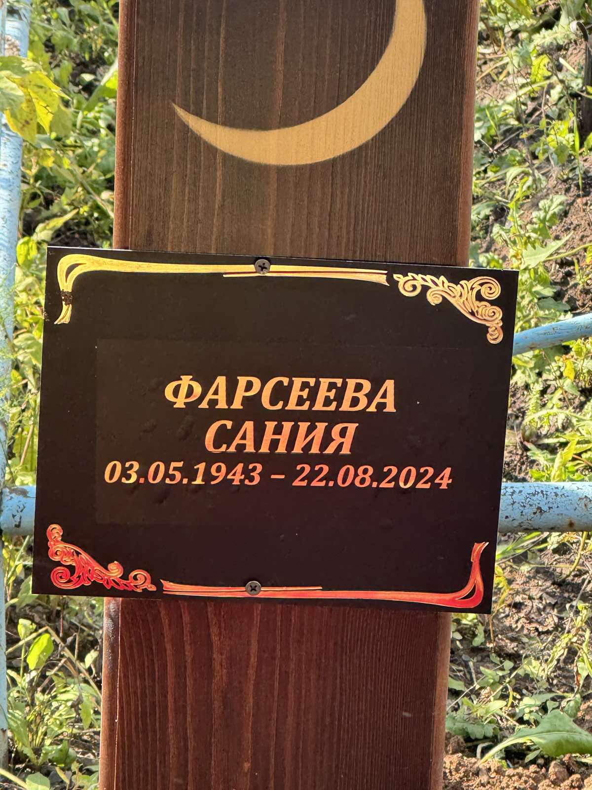 Фарсеева Сания Отсутствует