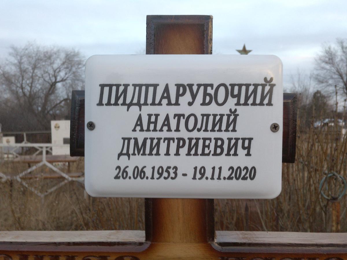 Пидпарубочий Анатолий Дмитриевич