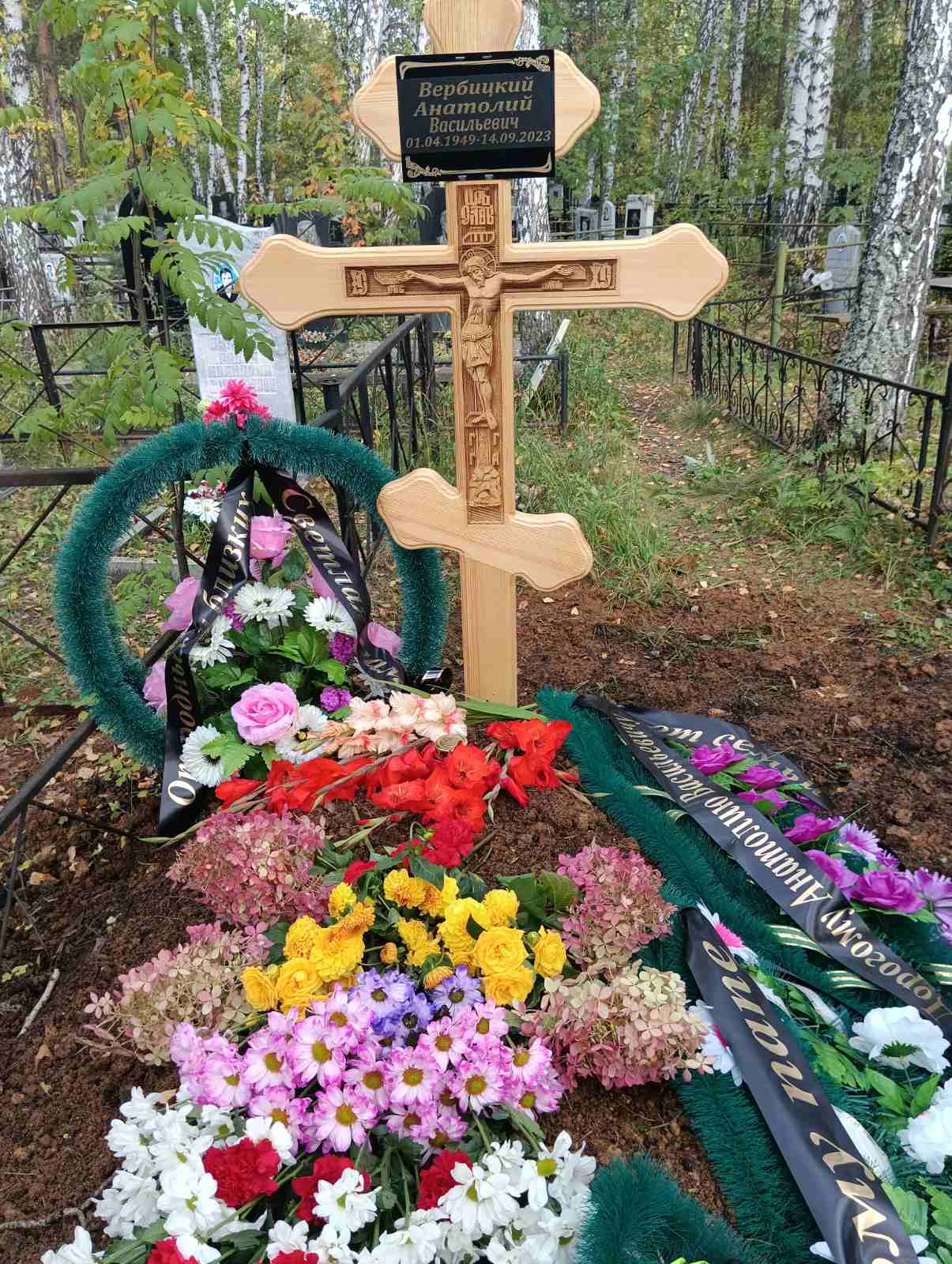 Вербицкий Анатолий Васильевич