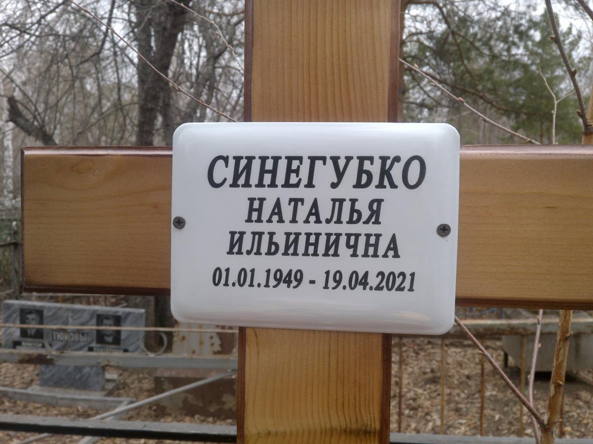 Синегубко Наталья Ильинична