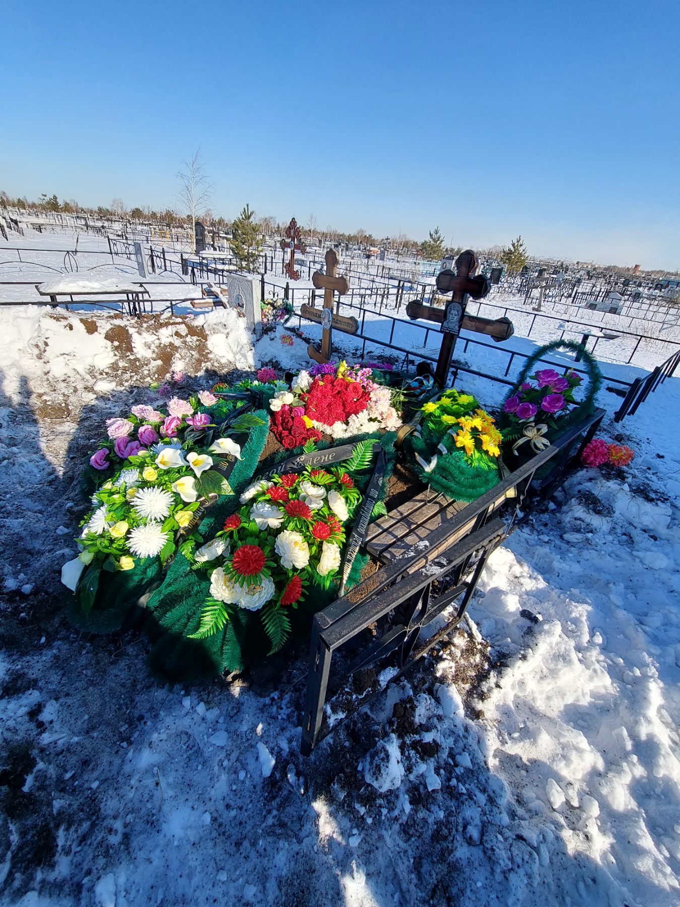 Вагапова Елена Анатольевна