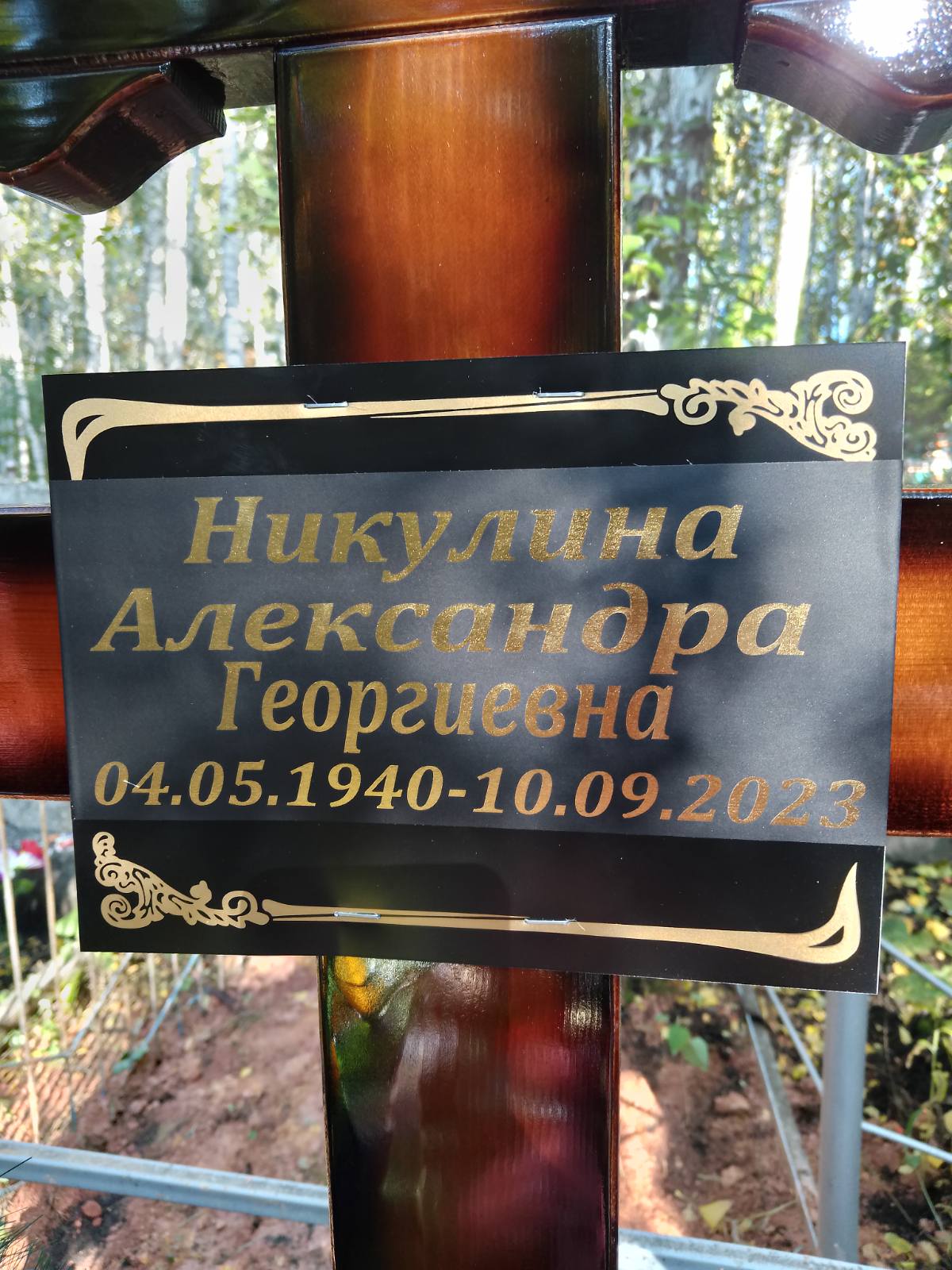 Никулина Александра Георгиевна
