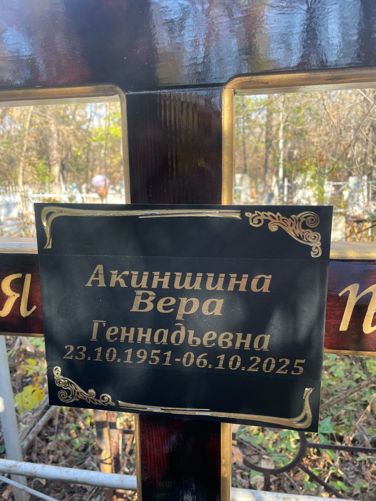 Акиншина Вера Геннадьевна