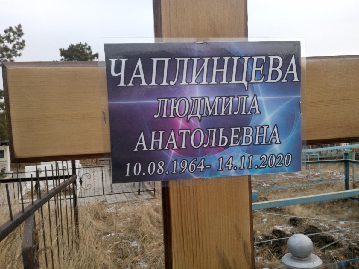 Чаплинцева Людмила Анатольевна