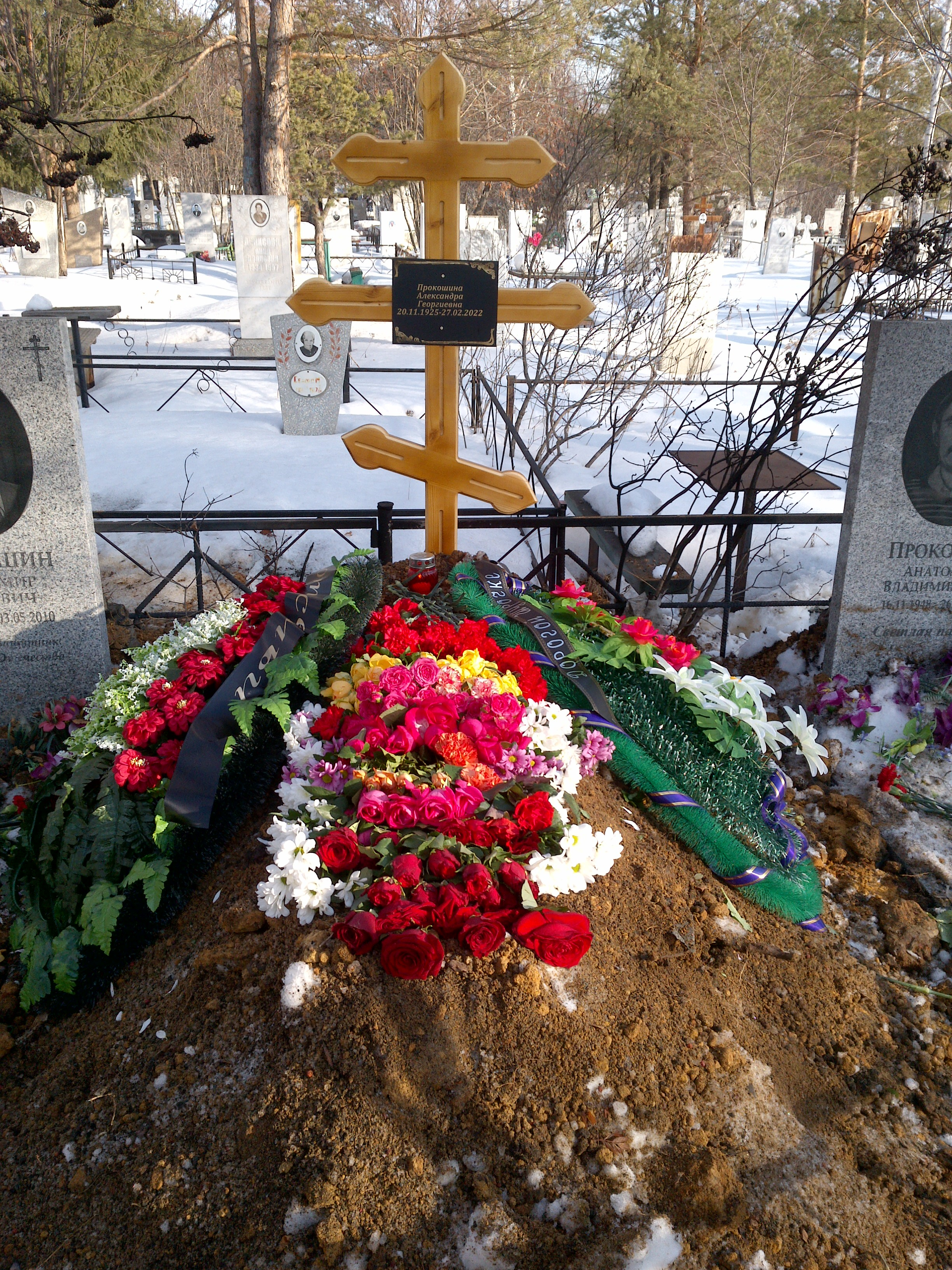 Прокошина Александра Георгиевна