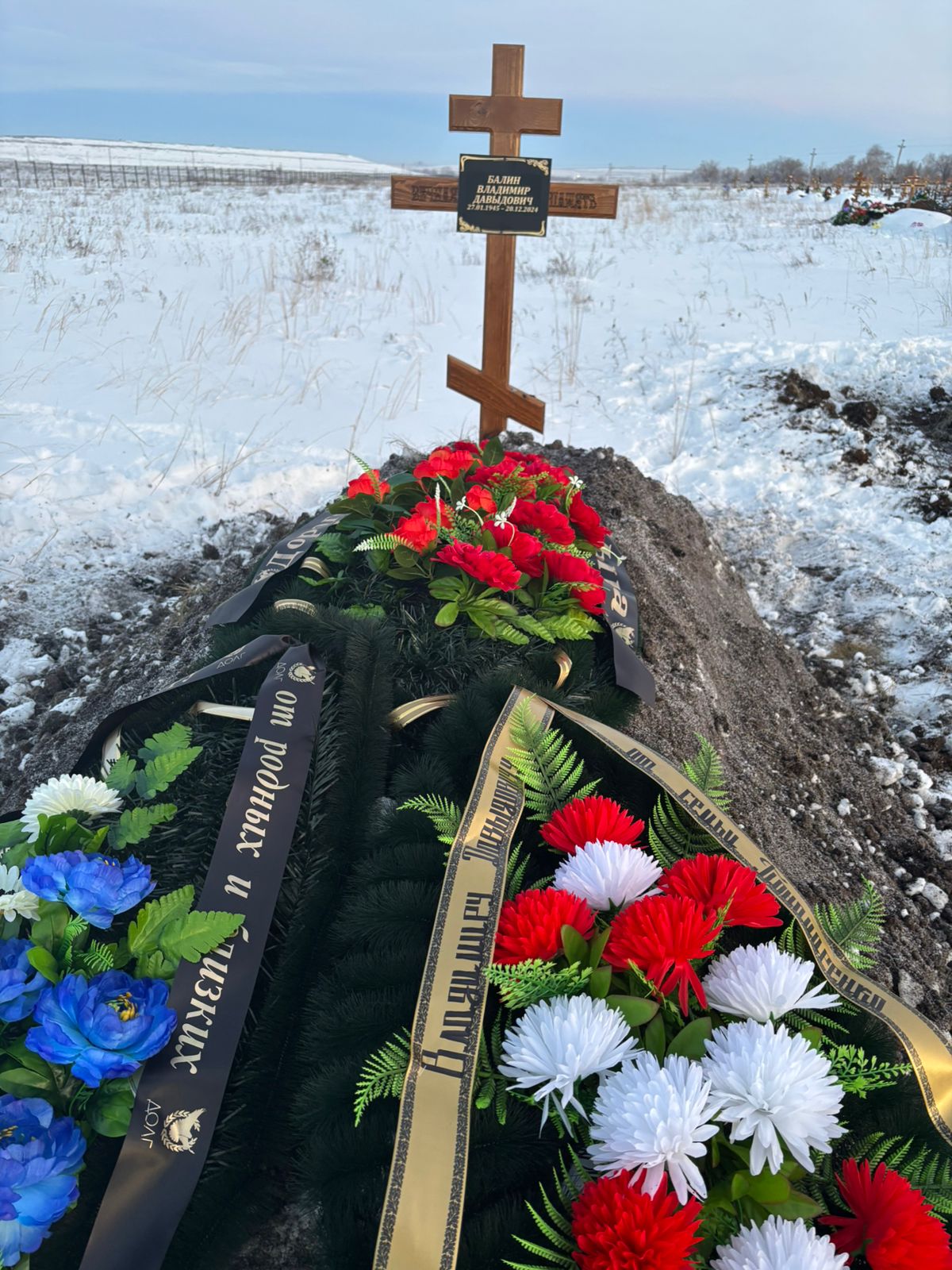 Балин Владимир Давыдович