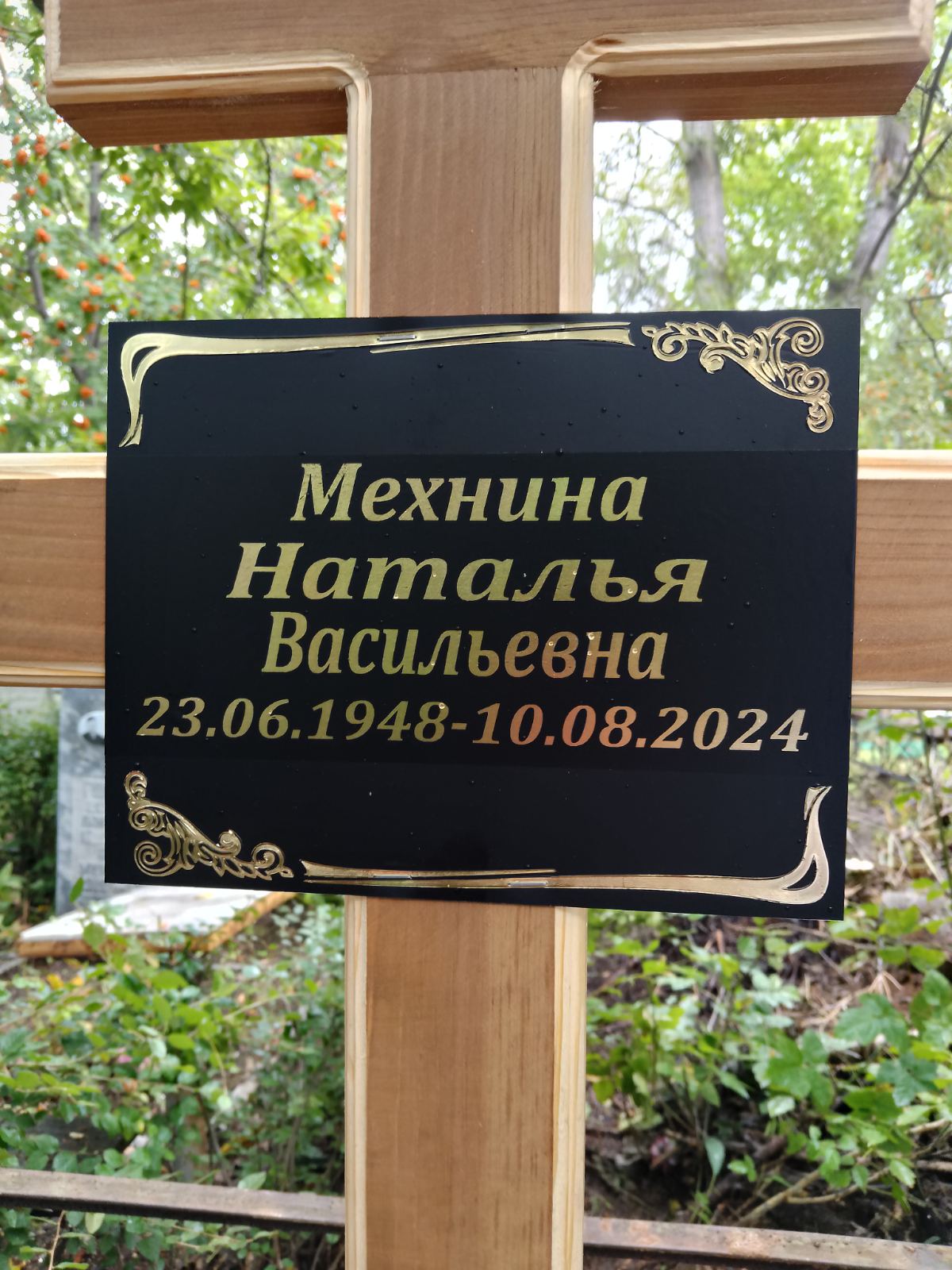 Мехнина Наталья Васильевна
