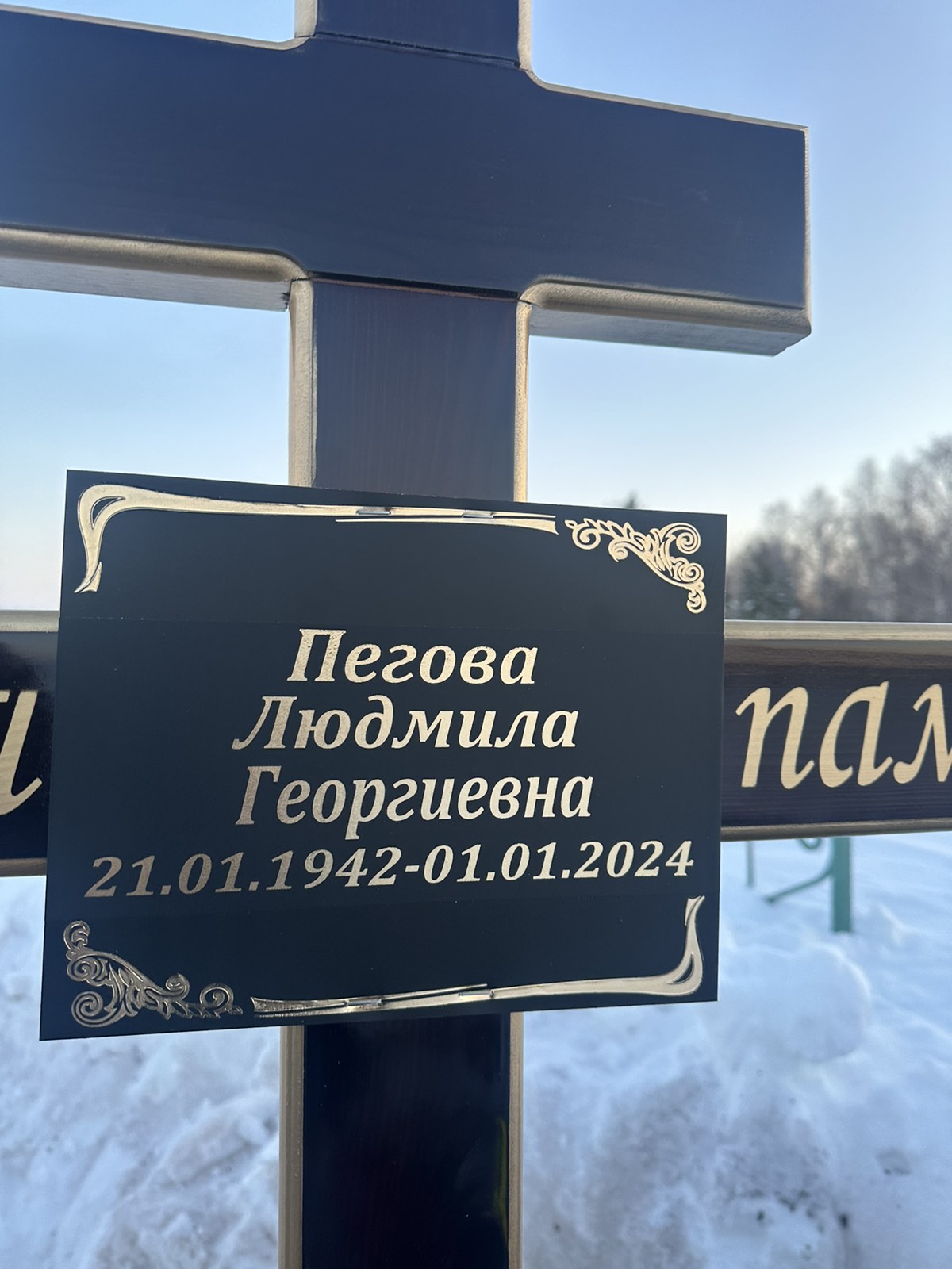 Пегова Людмила Георгиевна
