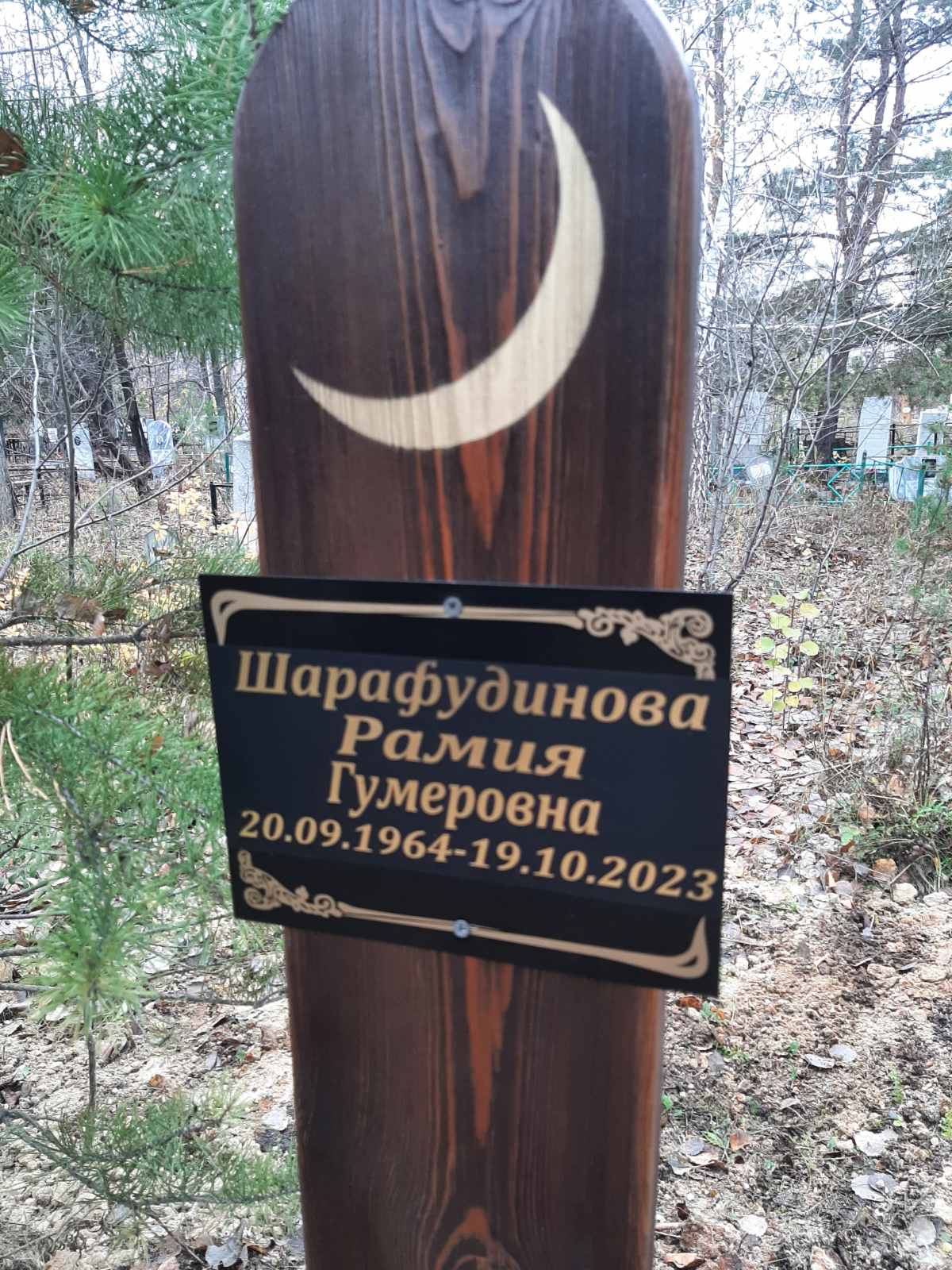 Шарафудинова Рамиля Гумеровна