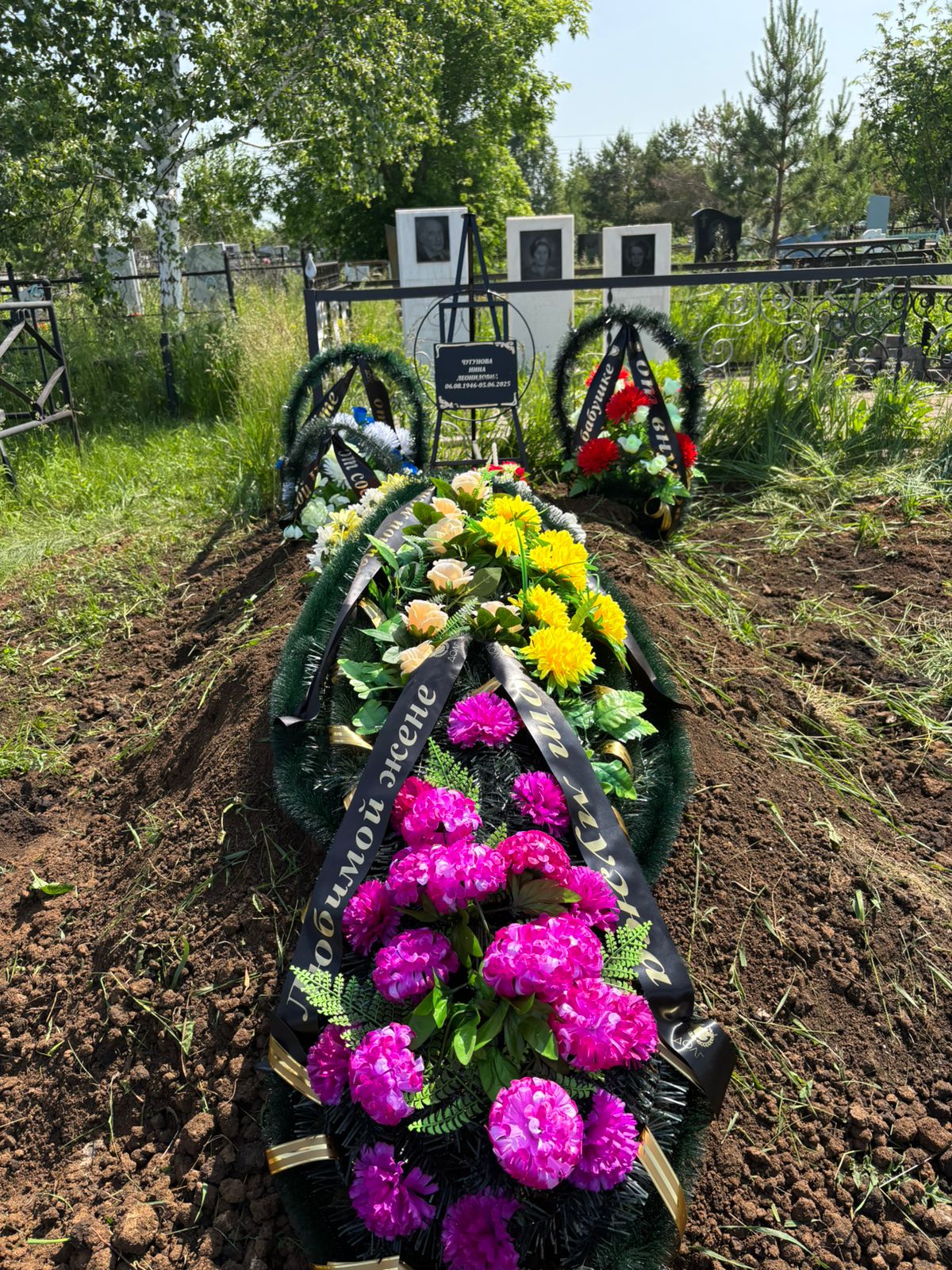 Чугунова Нина Леонидовна