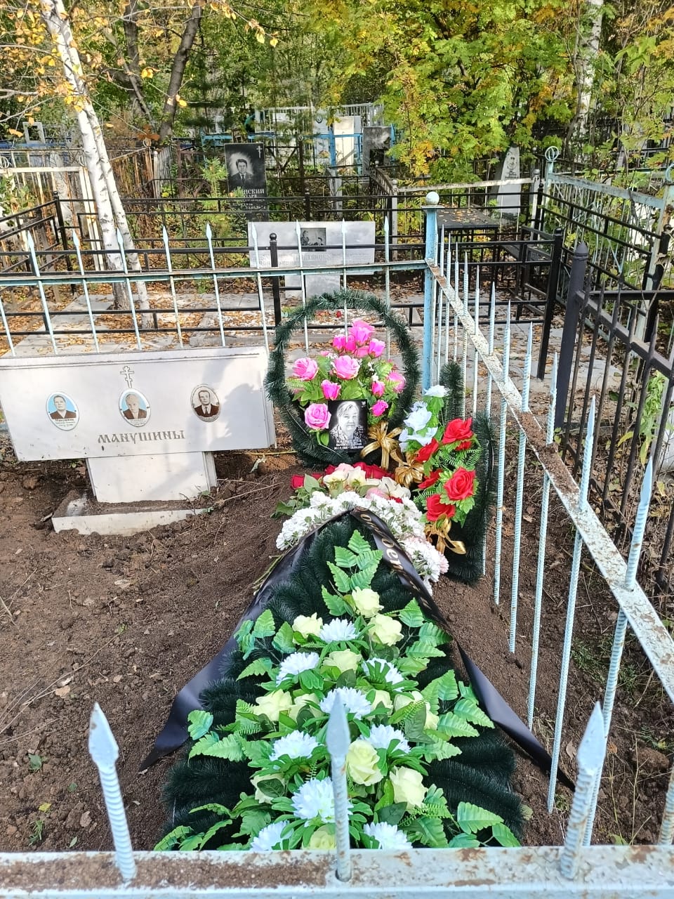 Манушина Евгения Ивановна