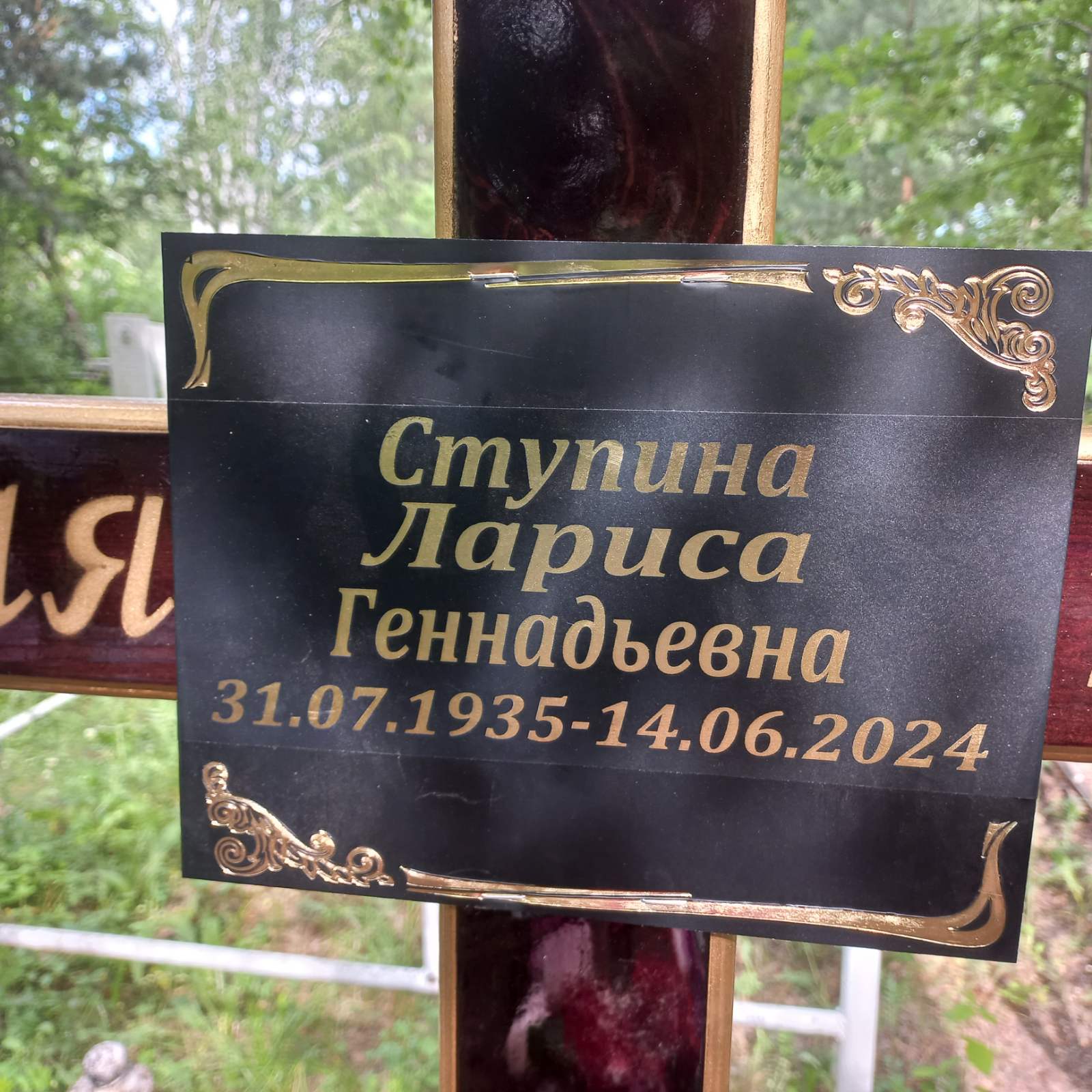 Ступина Лариса Геннадьевна