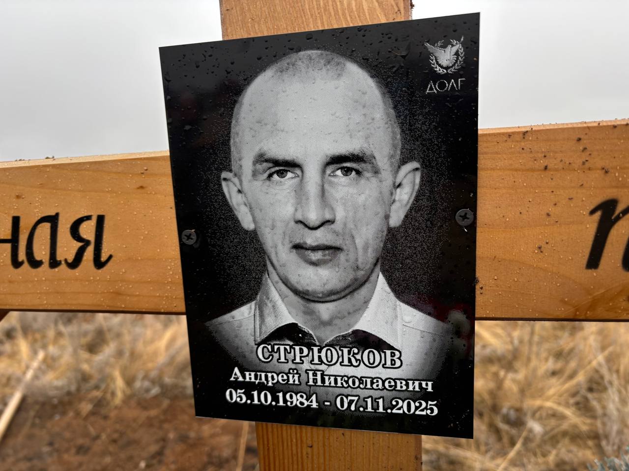 Стрюков Андрей Николаевич