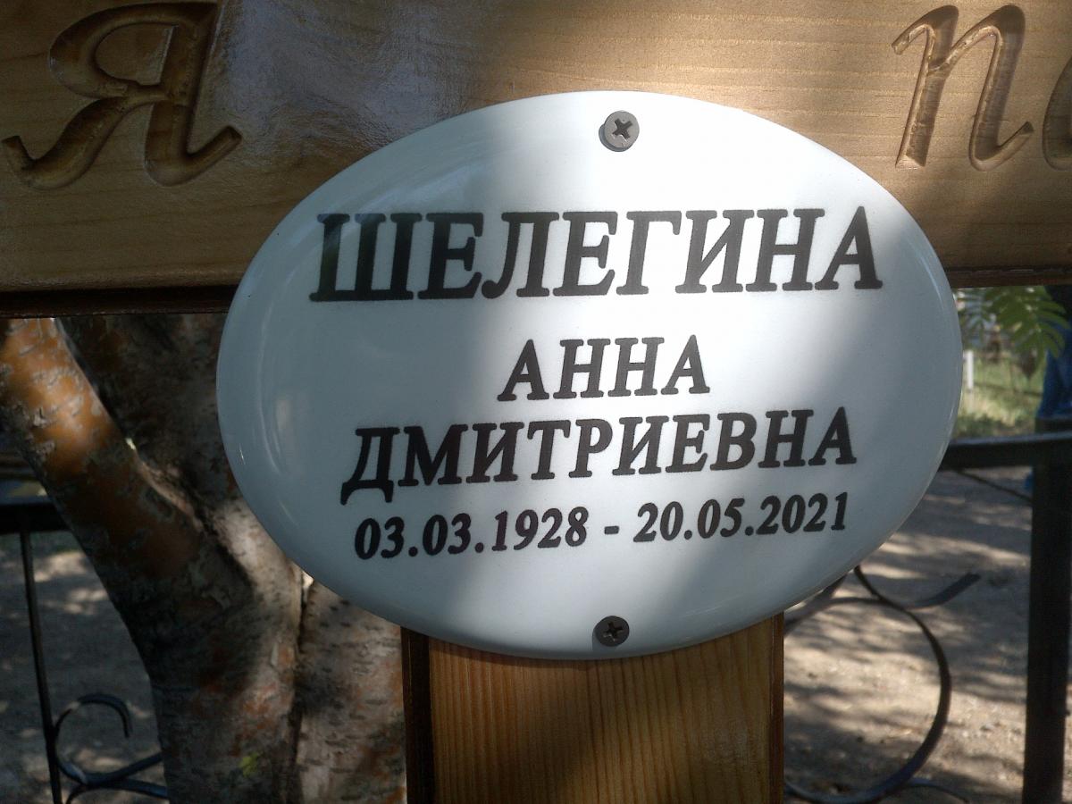 Шелегина Анна Дмитриевна