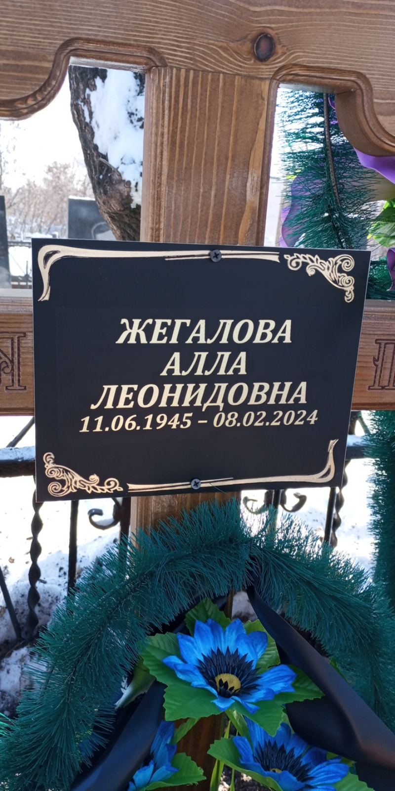 Жегалова Алла Леонидовна
