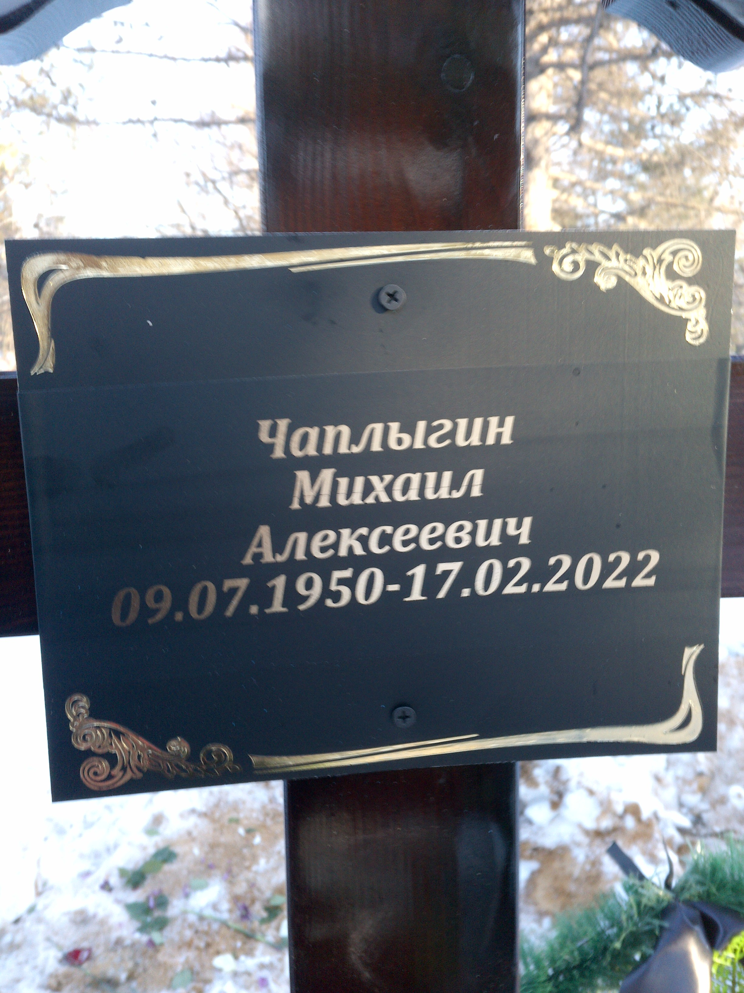 Чаплыгин Михаил Алексеевич