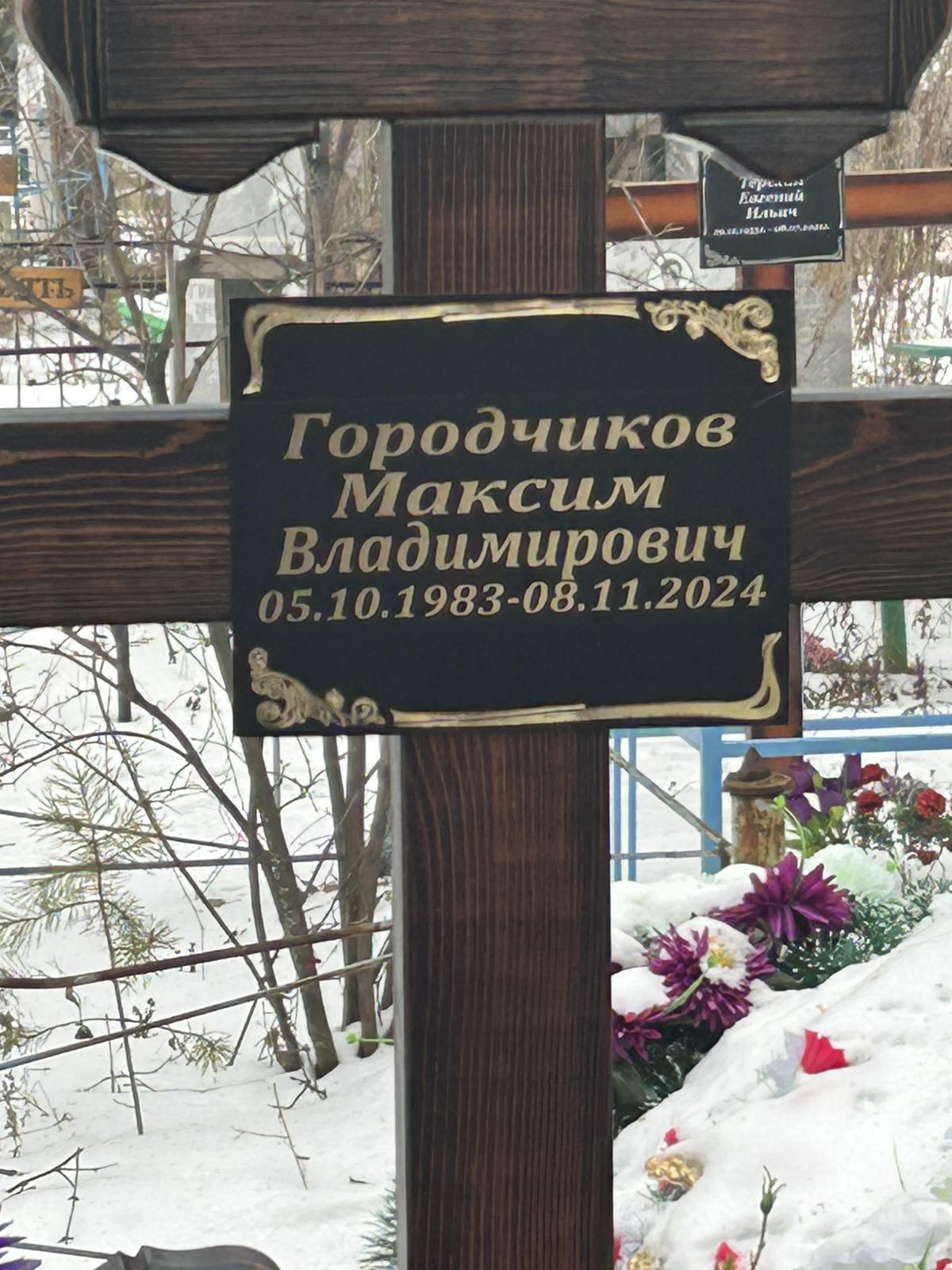 Городчиков Максим Владимирович