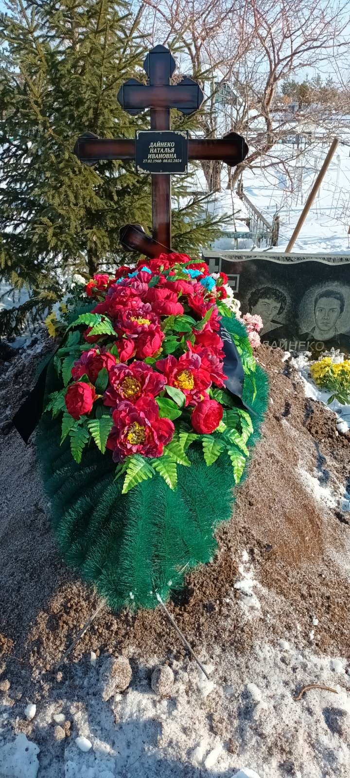 Дайнеко Наталья Ивановна