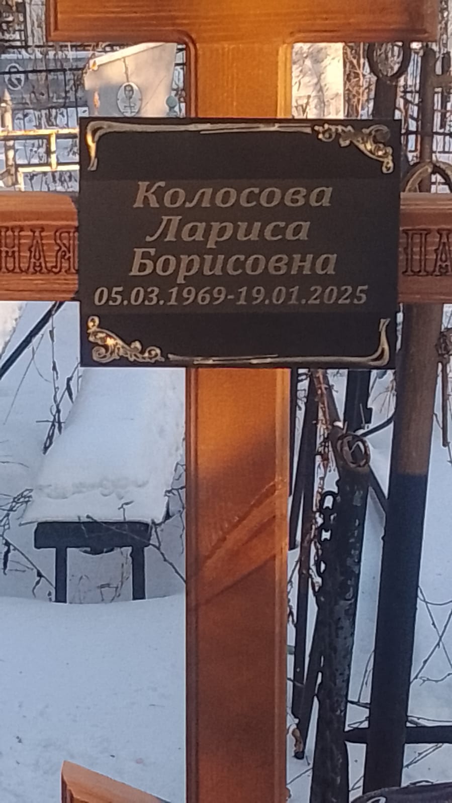 Колосова Лариса Борисовна